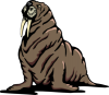 +icon+walrus+ clipart