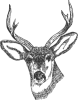 +deer+head+ clipart