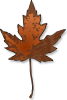 +maple+leaf+brown+ clipart