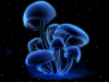 +mushroom+ clipart