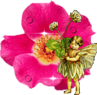 +nymph+fairy+with+clover+and+rose+s+ clipart