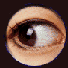 +sight+eye++ clipart