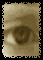 +sight+eye++ clipart