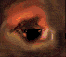 +sight+eye++ clipart