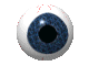 +sight+eyeball++ clipart
