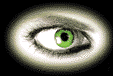 +sight+green+eye++ clipart