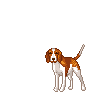 +dog+canine+beagle++ clipart