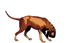 +dog+canine+bloodhound+s+ clipart