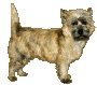 +dog+canine+dog++ clipart