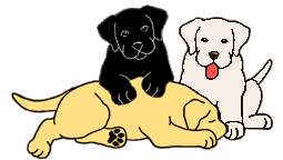 +dog+canine+three+labs++ clipart