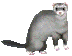+animal+ clipart