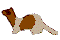+animal+ferret+s+ clipart