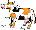 +farm+animal+black+and+brown+cow++ clipart