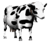+farm+animal+black+and+white+cow++ clipart