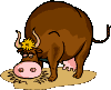 +farm+animal+cow++ clipart