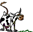 +farm+animal+cow++ clipart
