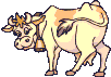 +farm+animal+cow+with+bell++ clipart
