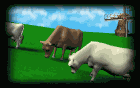 +farm+animal+cows++ clipart
