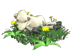 +farm+animal+lamb+and+flowers++ clipart