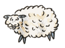+farm+animal+sheep++ clipart