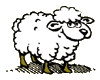 +farm+animal+sheep++ clipart