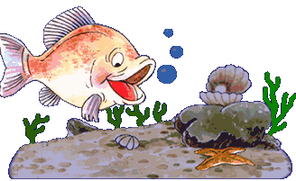 +fish+animal+coral+reef+s+ clipart