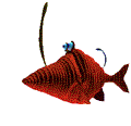+fish+animal+red+fishs+ clipart