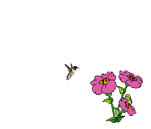 +flower+blossom+ clipart