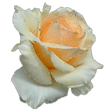 +flower+blossom+ clipart