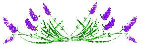 +flower+blossom+ clipart