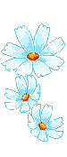 +flower+blossom+ clipart