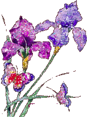 +flower+blossom+ clipart