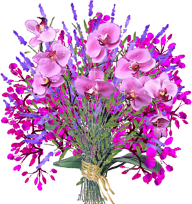 +flower+blossom+ clipart