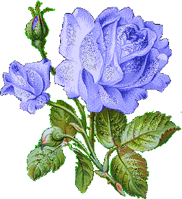 +flower+blossom+ clipart