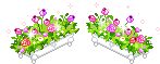+flower+blossom+ clipart