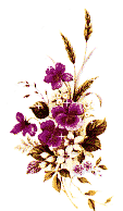 +flower+blossom+ clipart