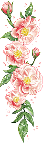 +flower+blossom+ clipart