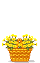 +flower+blossom+ clipart