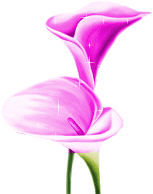 +flower+blossom+ clipart