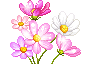 +flower+blossom+ clipart