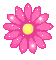 +flower+blossom+ clipart