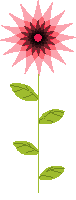 +flower+blossom+ clipart