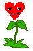 +flower+blossom+ clipart