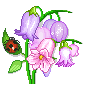 +flower+blossom+ clipart