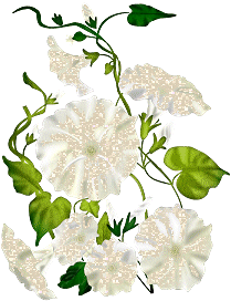 +flower+blossom+ clipart