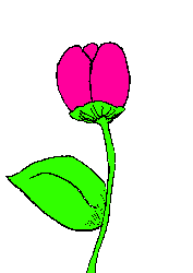 +flower+blossom+ clipart