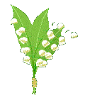 +flower+blossom+ clipart