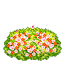 +flower+blossom+ clipart