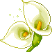 +flower+blossom+ clipart