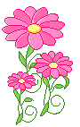 +flower+blossom+ clipart